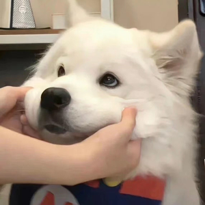 扒开腿添18禁🔞免费图片
